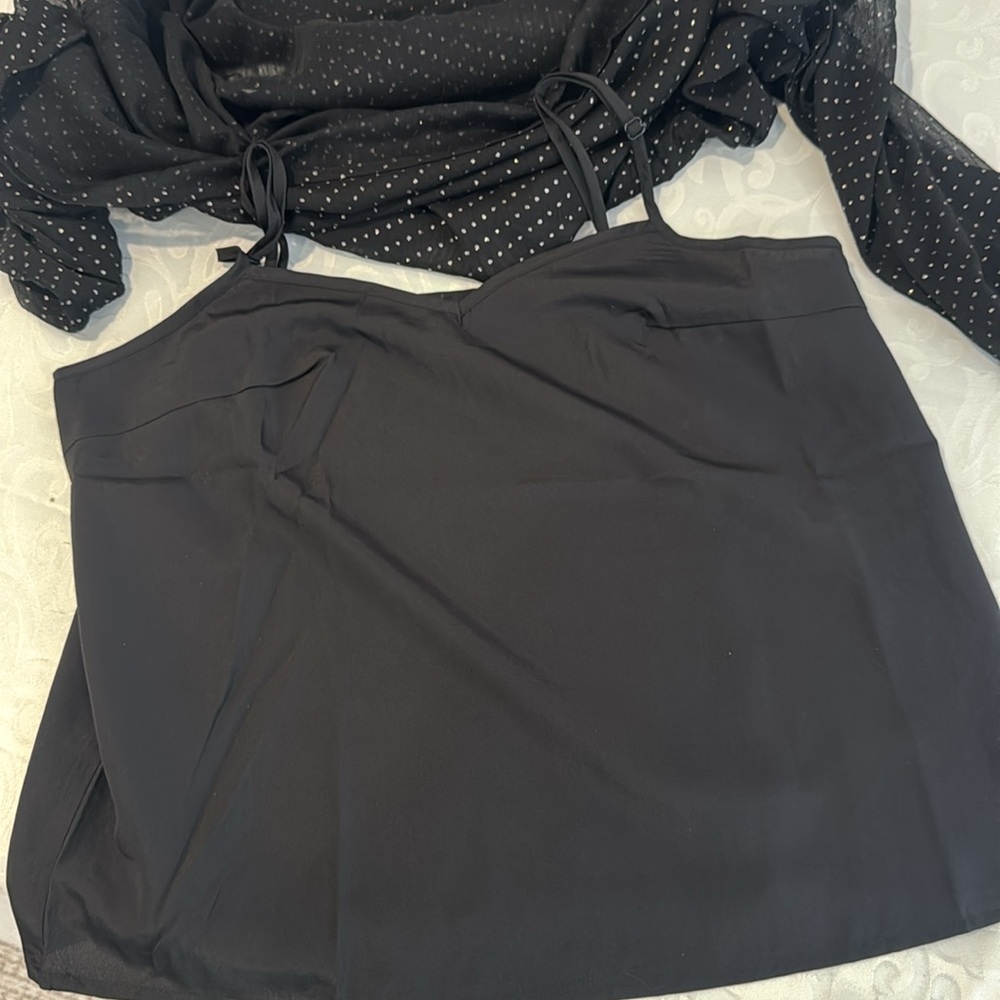 NWOT Sanctuary sheer Blouse. Ladies Small - Picture 8 of 13